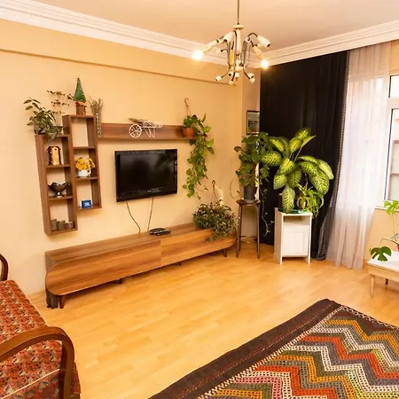 Green House - 2br Large House In Kadikoy アパート イスタンブール